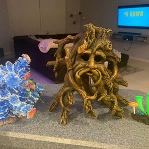 Meet your Posher, Hyden